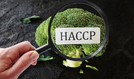 HACCP: o que é e como isso impacta o seu negócio
